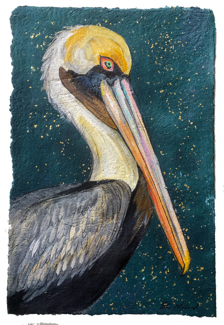 Colorful Brown Pelican-11x14