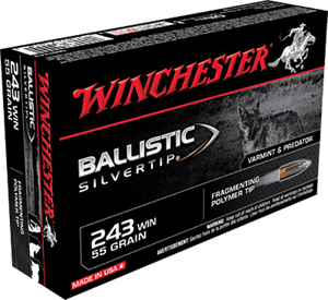 Winchester, Ballistic Silvertip, 243 Winchester, 55 Grain, 20 Rounds