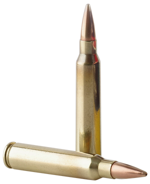 Prvi Partisan TR&Z PPMK223 223 Remington Sierra MatchKing BTHP 69 Grain 20 Rounds