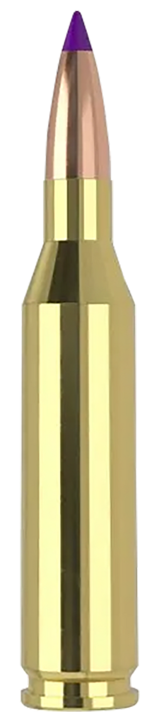 Nosler Ballistic Tip 243 Winchester Soft Point 70 Grain 20 Rounds