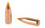 Nosler Ballistic Tip Varmint Bullets .22 cal .224" 55 gr SBT-SB 100/ct - 39526 - 054041395267