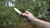 CAMILLUS REGENT FOLDING KNIFE - 19365 - 016162193658