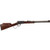 Henry H001VL Varmint Express 17 HMR 19.25" 11 Rounds Blued Steel Receiver Walnut Stock