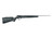 Savage B17 FVSS Rifle 17 HMR 21 in. 10 Rounds Stainless Steel Right Hand