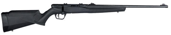 Savage B22 F 22 LR 21 Inch 10 Round Matte Finish