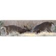 Cerus Gear Magnum XXL 14x48 White Tail Bucks Fighting Promat - Full Color