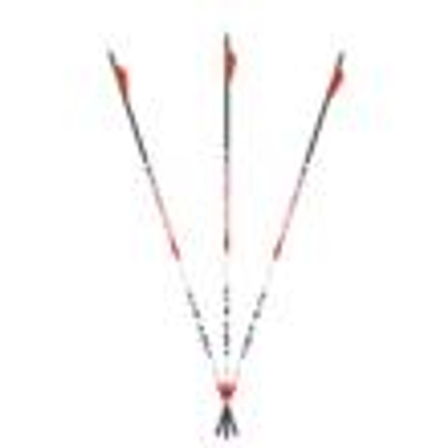 Carbon Express Maxima Triad XSD Shafts 350 1 doz.