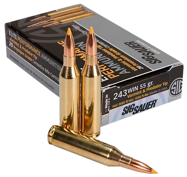 Sig Sauer E243V120 Elite Hunting Varmint & Predator 243 Win 55 gr Extreme Expansion Tip 20 Rounds