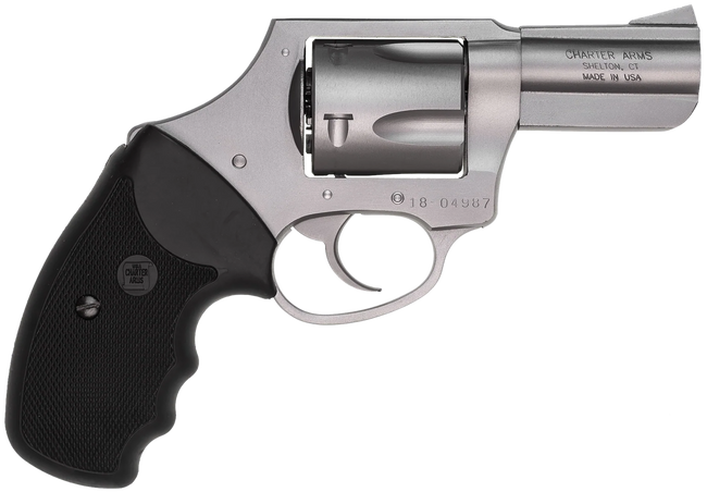 Charter Arms Bulldog 44 Special 2.5 in 5 Rounds Stainless Steel