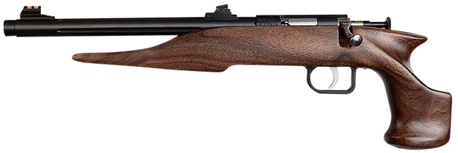 Chipmunk 40001 Hunter  Youth Frame 22 S/L/LR Single Shot 9" Threaded Blued Steel Barrel, Walnut Frame, EZ Loader