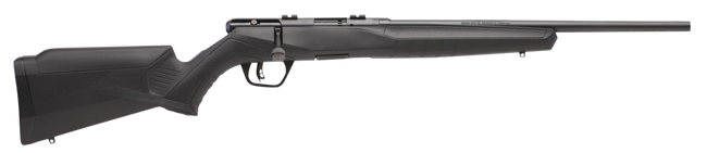 Savage Arms B17 F Compact 17 HMR 18 Inch 10 Rounds Synthetic