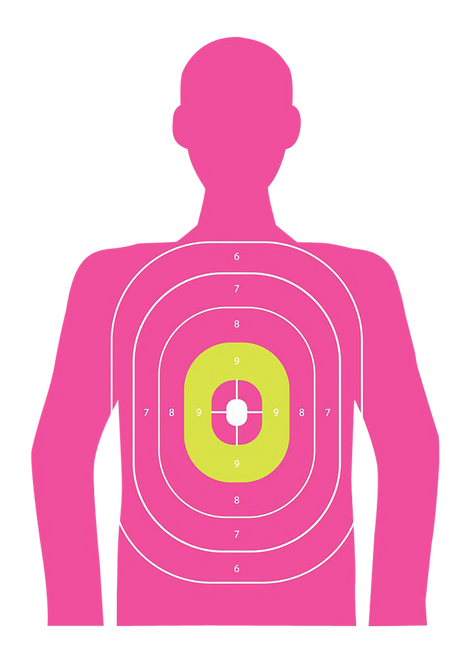 EZ-Aim 15646 In the Pink  Paper Works w/Handgun/Shotgun/Airsoft Gun/BB Guns/Pellet Gun 12 x 18 Pink 8 Pack