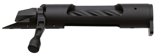 Wby 307 Builders Action Short 223rem  Blk