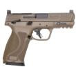 Smith and Wesson Mp10 Backpacker 10mm 4 in 15 Rounds Flat Dark Earth Cerakote