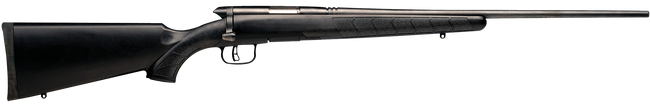 Savage BMag Rifle 17 Winchester Super Magnum 22 in. 10 Rounds Synthetic Matte Blued