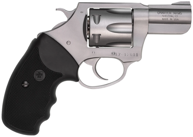 Charter Arms Undercover Large 38 Special 2.20 Inch 6 Shot Stainless Steel Frame
