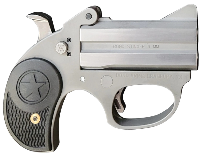 Bond Arms BASRS Stinger  22 LR 2rd, 3" Double Rough Matte Stainless Steel Barrel & Frame, Black Nylon Grip,