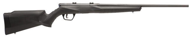 Savage Arms B17 F Compact 17 HMR 18" 10+1