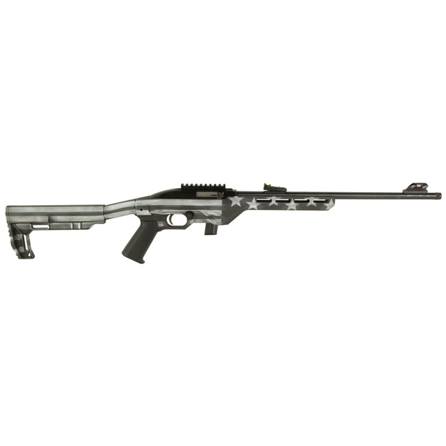 Citadel CIT22LRBUSG Trakr  22 LR 10+1 18" Blued Steel Threaded Barrel & Receiver, Gray Flag Synthetic Stock - CIT22LRBUSG - 682146853964