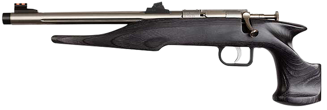 Chipmunk 40103 Hunter  Youth Frame 22LR Single Shot 9" Threaded Stainless Steel Barrel, Black Laminate Frame