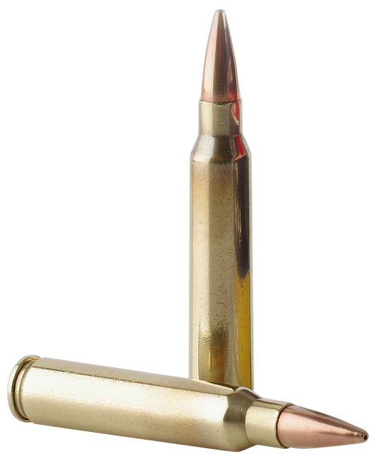 Prvi Partisan TR&Z PPMK223 223 Remington Sierra MatchKing BTHP 69 Grain 20 Rounds