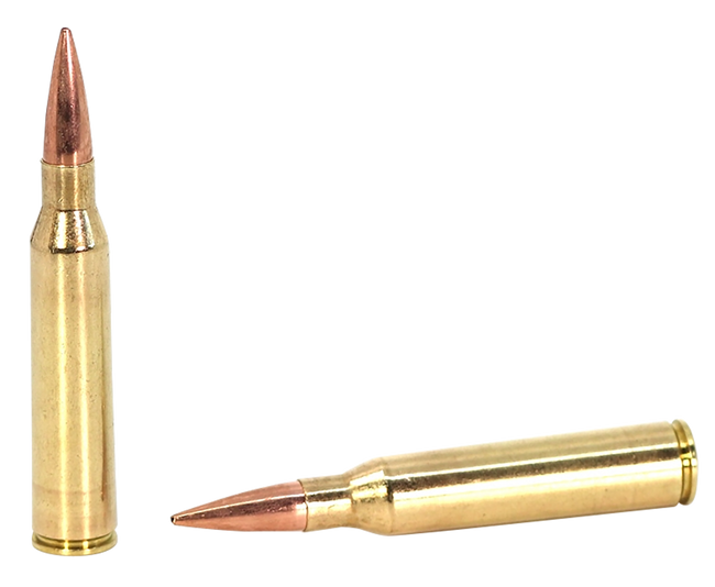 SAKO (TIKKA)  MatchKing  338LapuaMag 300gr 10 Rounds