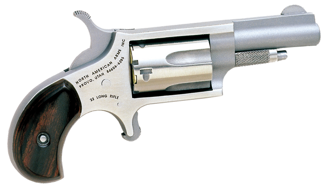 NAA 22LLR Mini-Revolver 22 LR Stainless/Rosewood 1.13 in. 5 rd.