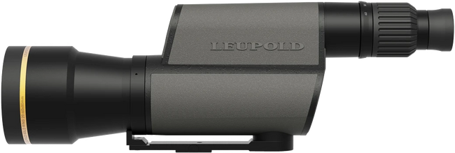 Leupold Gold Ring Spotting Scope 20-60x80mm Straight Body Shadow Gray