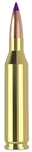 Nosler Ballistic Tip Rifle Ammunition 243 Win 70 gr. SP 20 rd.