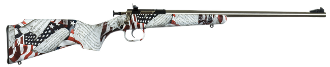 Keystone Crickett Rifle 22 LR 16 in. Amendment Stainless