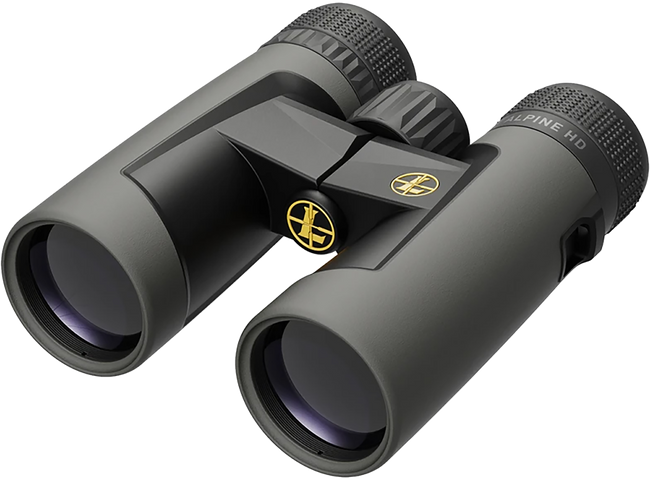 Leupold BX-2 Alpine Binoculars 10x42 Shadow Grey Abbe-Koenig Roof Prism