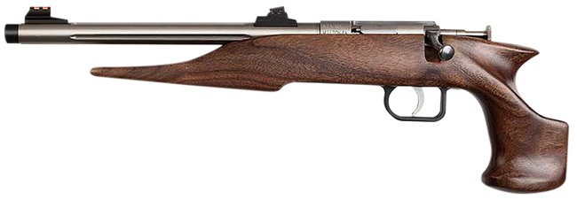 Chipmunk 40101 Hunter  Youth Frame 22 S/L/LR Single Shot 9" Threaded Stainless Steel Barrel, Walnut Frame, EZ Loader