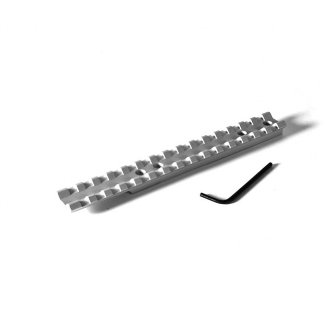 EgW Scope Base Ruger 10-22 Picatinny Aluminum Silver Matte Mil-STD 1913