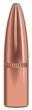 Speer Grand Slam Rifle Bullets 6mm .243" 100 gr GSSP 50/ct