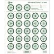 EZ-Aim 15582 Official IBS  Rimfire Target  Non-Adhesive White/Green 25 Pack