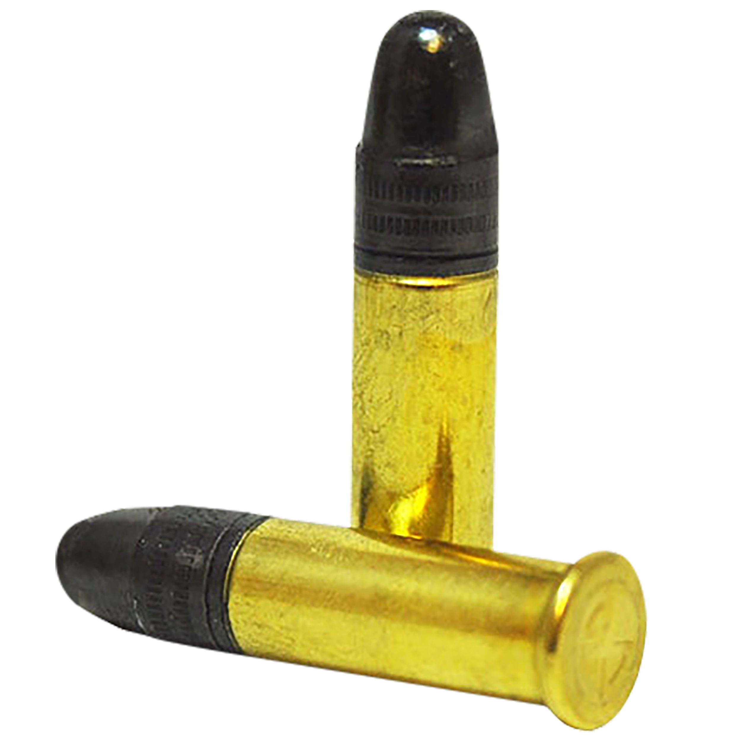 SK 420101 Standard Plus  22LR 40gr 50 Rounds