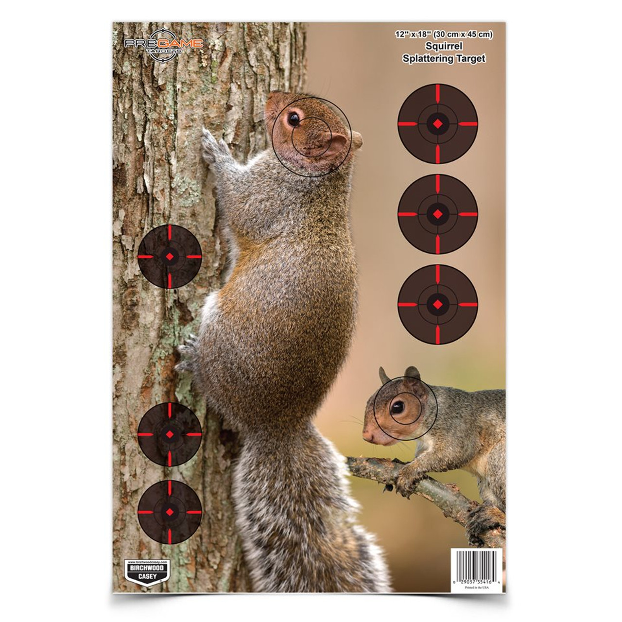 Bc Pregame Squirrel Tgt 12x18 8pk