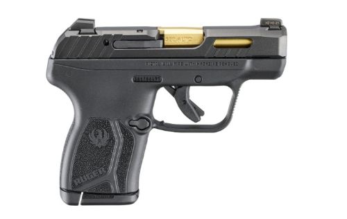 Ruger LCP Max Handgun .380 Auto 10rd Magazine(1) 2.8" Barrel Tritium Sights