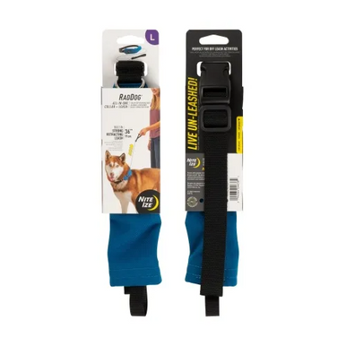RadDog All-In-One Collar + Leash
