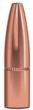 Speer Grand Slam Rifle Bullets 7mm .284" 160 gr GSSP 50/ct