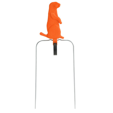 Champ Orange Prairie Dog 7