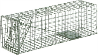 DUKE CAGE TRAP RACCOON 32x10x12 1DR