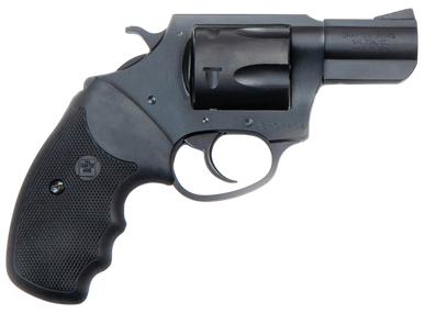 Charter Arms Professional II 357 Magnum 3 Inch 6 Rounds Nitride Stainless Steel Frame
