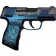 Sig Sauer P365 9mm 3.1in 10rd Stainless/Custom - 365-9-BXR3P-MS MODMGR