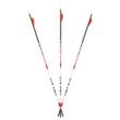 Carbon Express Maxima Triad XSD Shafts 350 1 doz.