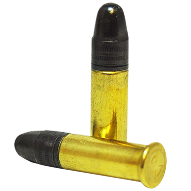 SK 420101 Standard Plus  22LR 40gr 50 Rounds