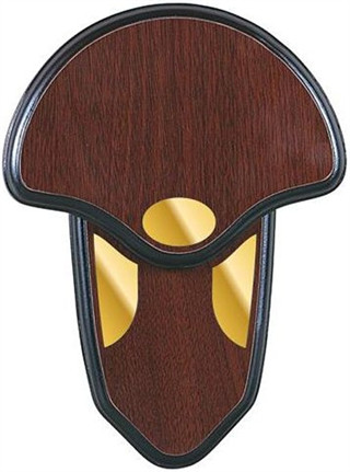 ALLEN TURKEY TAIL MOUNTING KIT