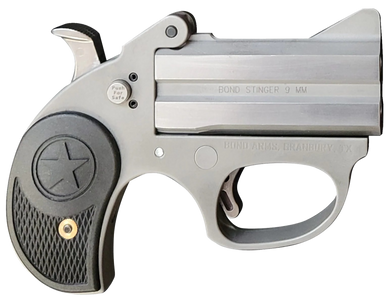 Bond Arms BASRS Stinger  22 LR 2rd, 3" Double Rough Matte Stainless Steel Barrel & Frame, Black Nylon Grip,