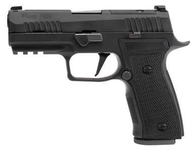 Sig Sauer P320 AXG Carry 9mm 3.9in 17rd ALX Modular
