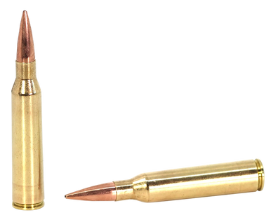 SAKO (TIKKA)  MatchKing  338LapuaMag 300gr 10 Rounds